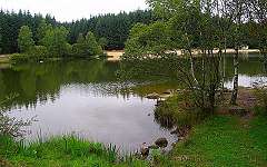 L'�tang de Ch�n�railles