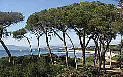 Ile Sainte Marguerite